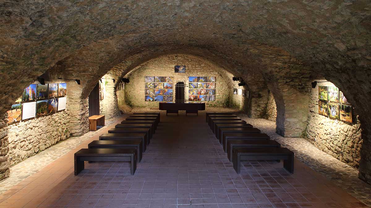 pozvn
